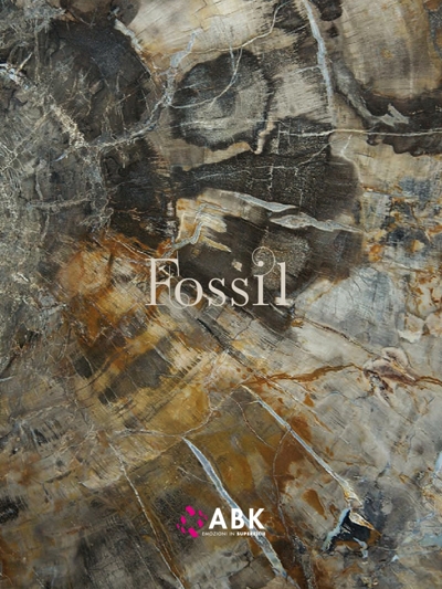 fossil.pdf